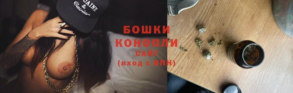 стафф Покачи