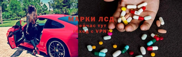СК Вязьма