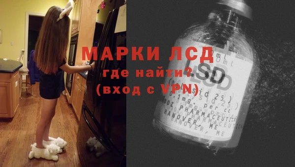 СК Вязьма